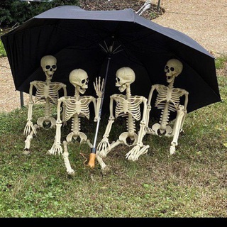 😹FRIENDS👻👻 CIRCLE⭕