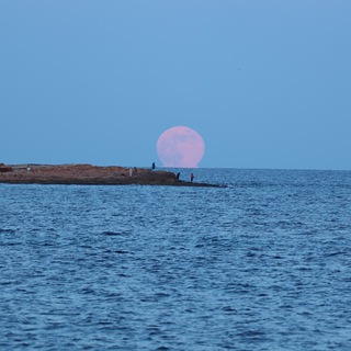 Знакомства Испания/Торревьеха