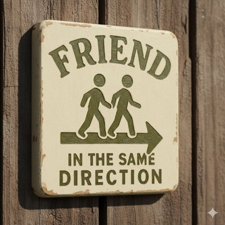 Friends In The Same Direction