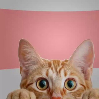 Знакомства Сад | Ейск