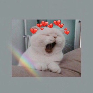 Знакомства чатик не виходить бабайка прийдет🙈