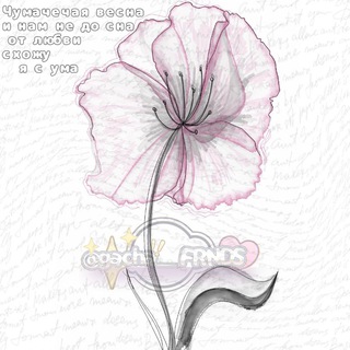 🍥 GACHA FRIENDSHIP || Гача знакомства 🌸 ГАЧА ИЩУ ДРУЗЕЙ ПАРУ 🤍