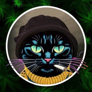 GANGSTER CALLL - GROUP CHAT