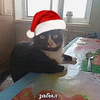 Подарочная полка ЧАТ