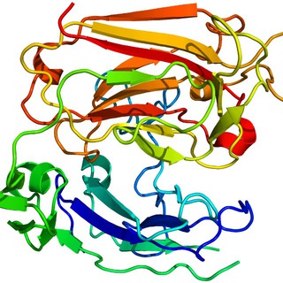 Чат канала Dr. Gilev