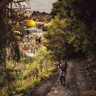 Israeli Occupation Crimes (IOC) 💬