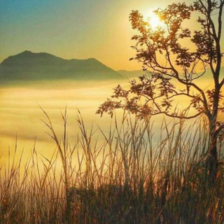 ရှု့ခင်း အလှပုံ တွေ မျှဝေကြမယ်