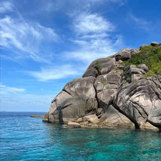 全球未公开-早鸟资讯