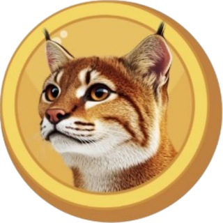 Golden Cat Official🐱