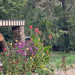 Гостевой дом "QAHRAMONI-EJ "