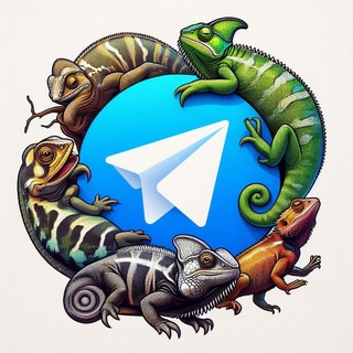 Reptiles y exóticos España