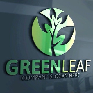 Команда Айрата! GreenLeaf