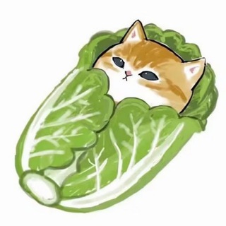 收留每一只蜉蝣群（禁aff和广告）