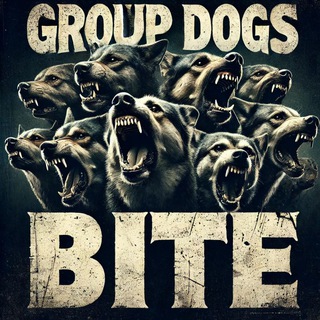 Nhóm Dogs Bark - Bite - Stupid