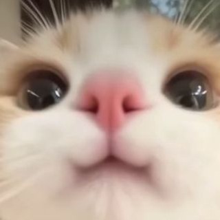 Группа общения/знакомства