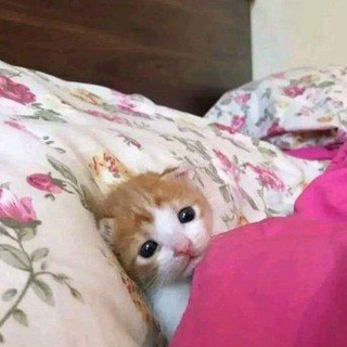 Grub cari sahabat dan teman online