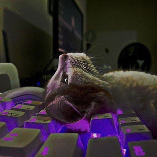 Группа для общения | Беседа ✨🍄