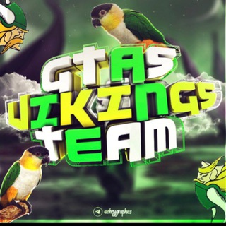 👥 GTA 5 GAMERS - VIKINGS TEAM 🛡