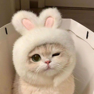 🏹မြှားနတ်မောင်🏹