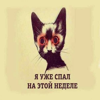 😝𝕫𝕟𝕒𝕜𝕠𝕞𝕤𝕥𝕧𝕒😝