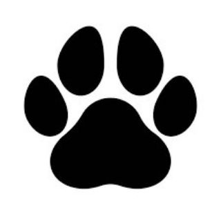 BaokenrenShop.com chạy ref