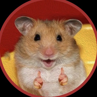 HamsterChamp