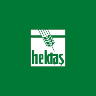 HEKTAŞ HİSSE
