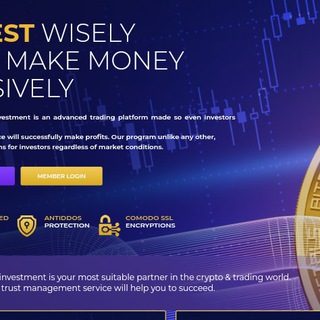 HIGHEARNREAL.COM INVESTMENT COMPANY