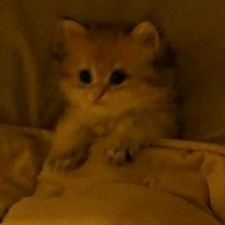 Хламилка I Друзья I Общение I Знакомства I Чат