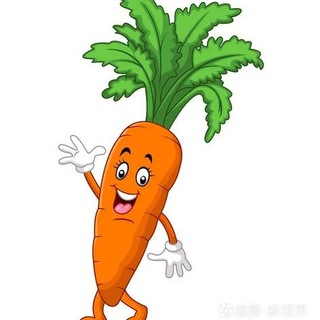 胡萝卜🥕社区