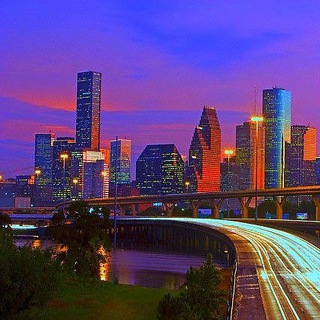 Houston Metro Fur Meets SFW