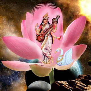 All EXAM QUIZ 📚📚🖊🖋🌸🌸🥰