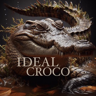 IDEAL CROCO