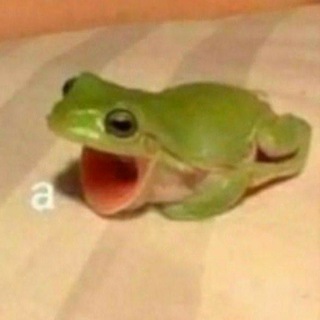 Жабы Игоря Линка