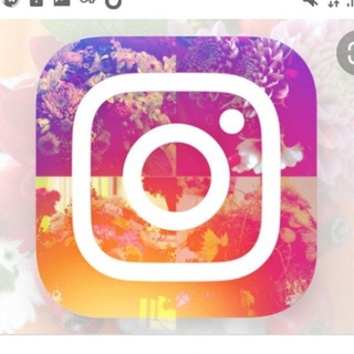 Instagram Likes & Follow