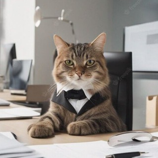 Чат ИП | помощь и советы