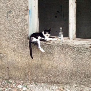 Группа знакомства общение и т.д