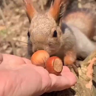 😊 Жест добра 😍 Глухие 😷 Слабослышащие 🌷 Казань Татарстан Deaf Russia культура спорт юмор дружба знакомства общение