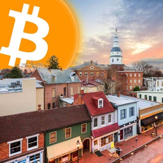 鲸鱼资本社区聊天🐳