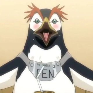 椰树 37 年的第 340 天也是玄学的一天