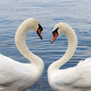 Кабардинка, Геленджик - знакомства, флирт