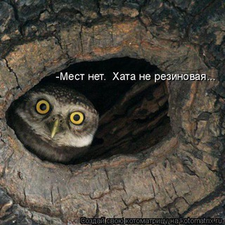 пр. Культуры Знакомства🍉 20+