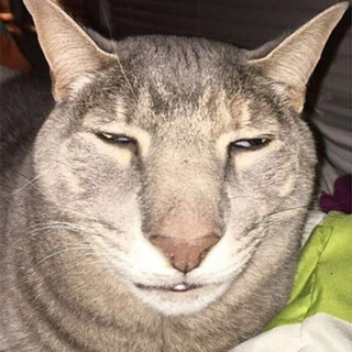 ЗНАКОМСТВА ЛД ЛП