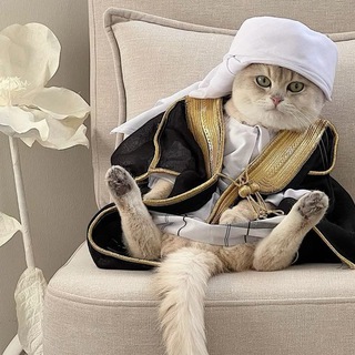 𓄂𝗞𝗔𝗦𝗜𝗕 𝗦𝗘𝗬𝗫𝗟𝗘𝗥👑