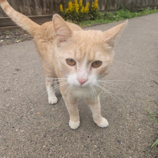 Знакомства 🤟