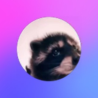 Кайфовый чат