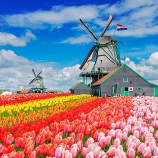 Знакомства в Нидерландах