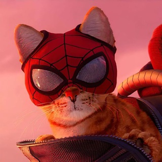 𝙍𝙊𝘾𝙆𝙀𝙏 𝟮𝟰𝙃 𝙈𝙢𝙤🚀