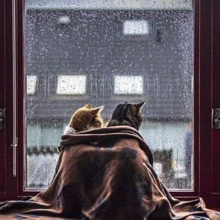 Харьков. Общение. Знакомства. Свидания.