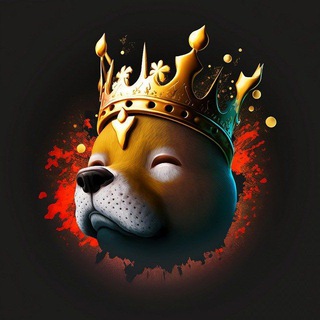 King Bonk Coin 🇨🇳官方中文群